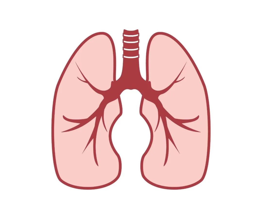 Lung Disease Signs: Overlooked Signals in Your Legs.